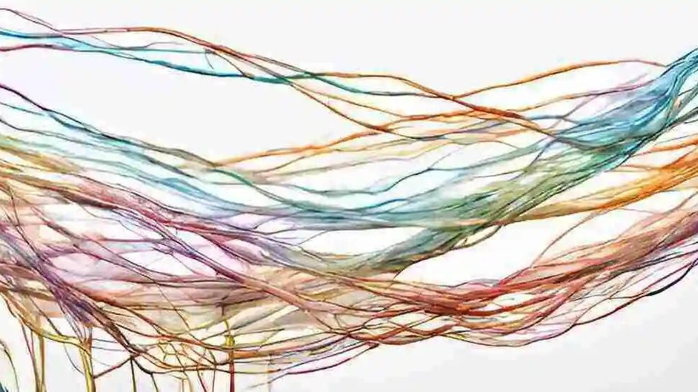 Soul Ties: What Are They and What Do They Mean? - GFL