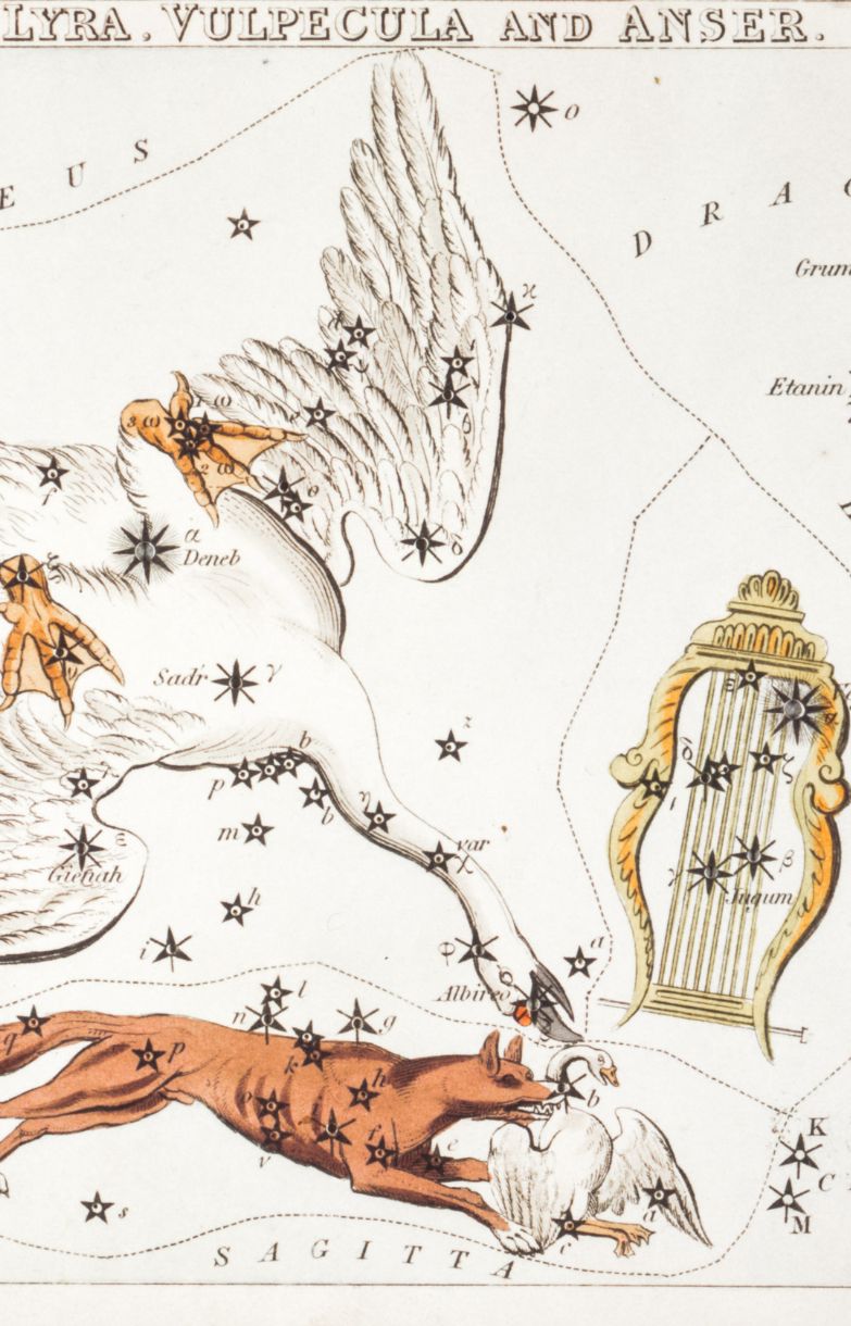 a constellation map of Lyra