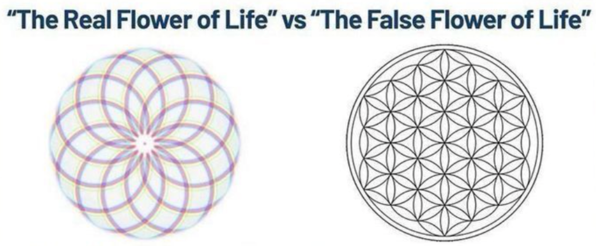 lotus of life versus flower of life diagram