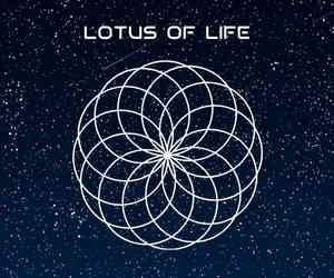 sacred geometry symbol of lotus of life