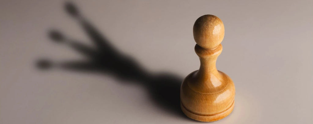 A wooden pawn with a queen for a shadow
