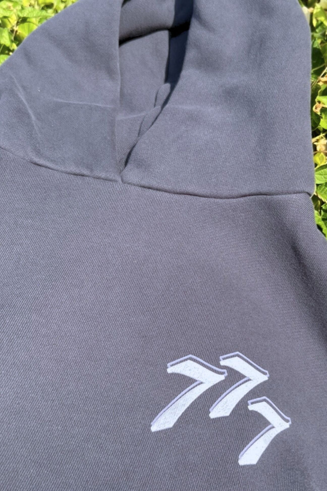 777 Angel Number Hoodie – Organic Cotton Fleece in Asteroid - GFL