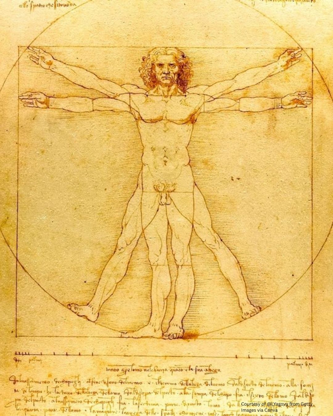 a depiction of davincis vitruvian man sacred geometry