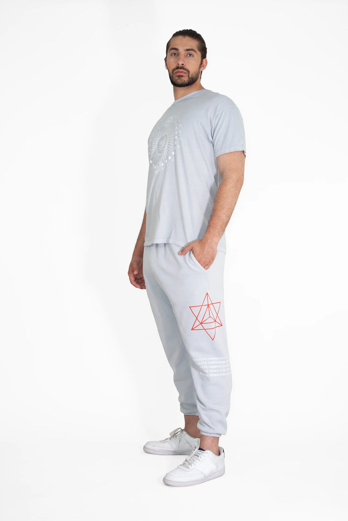 A man stands against a white background wearing GFLApparel Hypergalactic Pants in Galactic Gray and a light grey T-shirt with red geometric designs. The joggers, made from a heavyweight cotton blend, feature a drawstring waistband. He has his hands in the pockets and is sporting white sneakers.