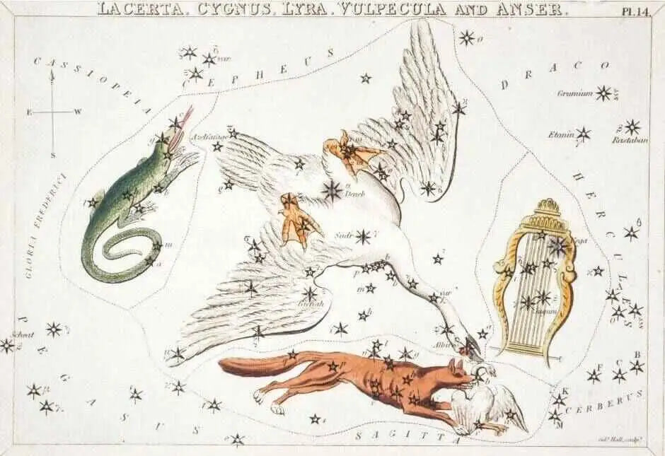 the Lyra Constellation ancient map of constellations 